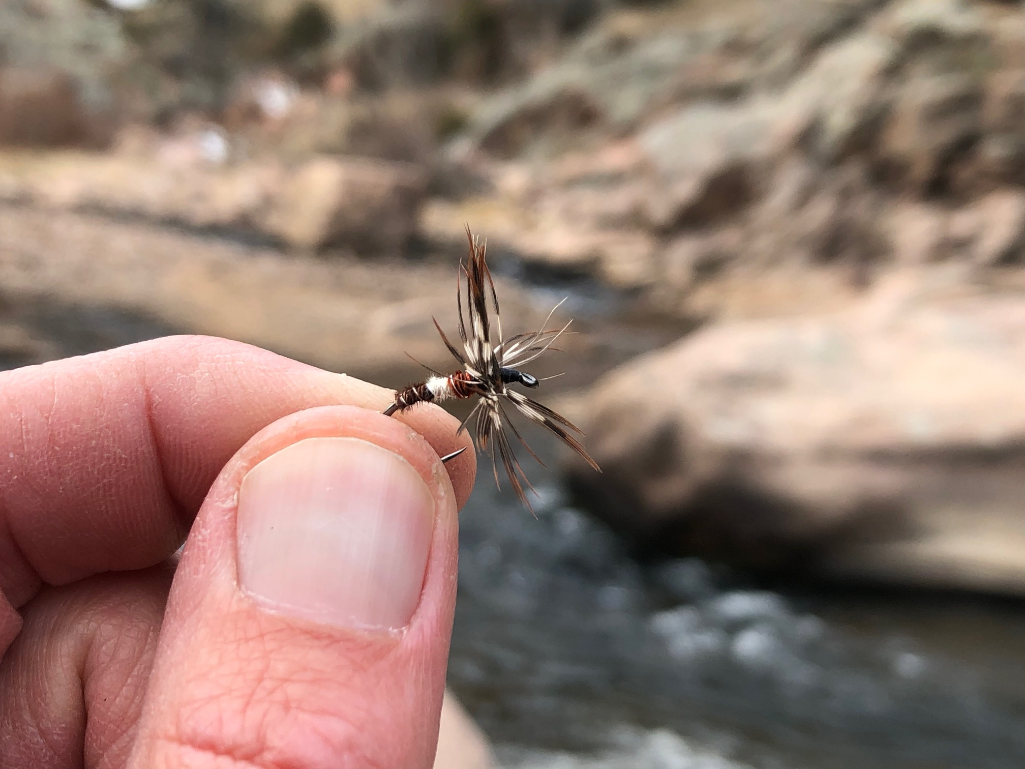 Jason Klass Fishing Tenkara on the St. Vrain