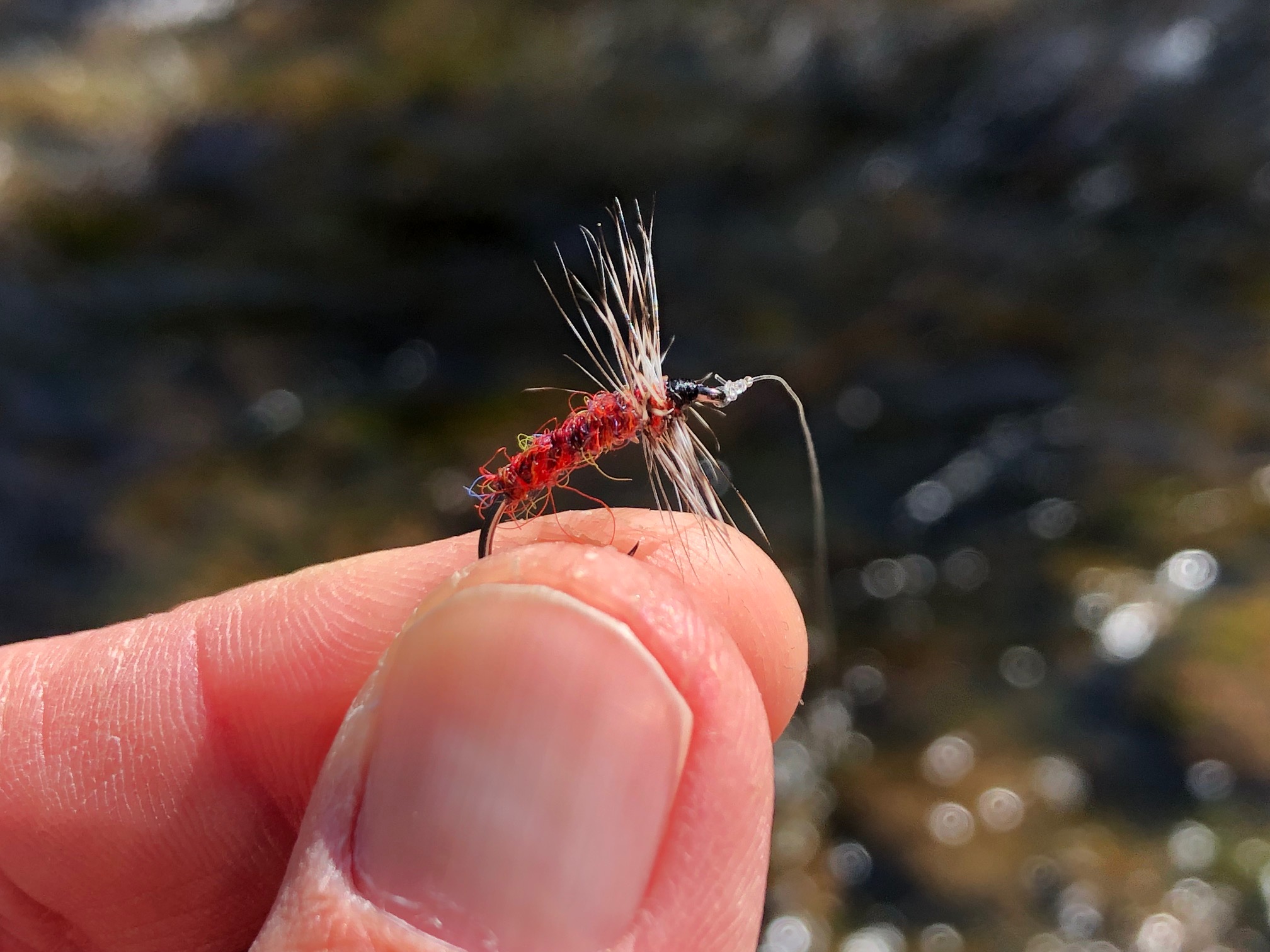 Jason Klass Fishing Tenkara on the St. Vrain