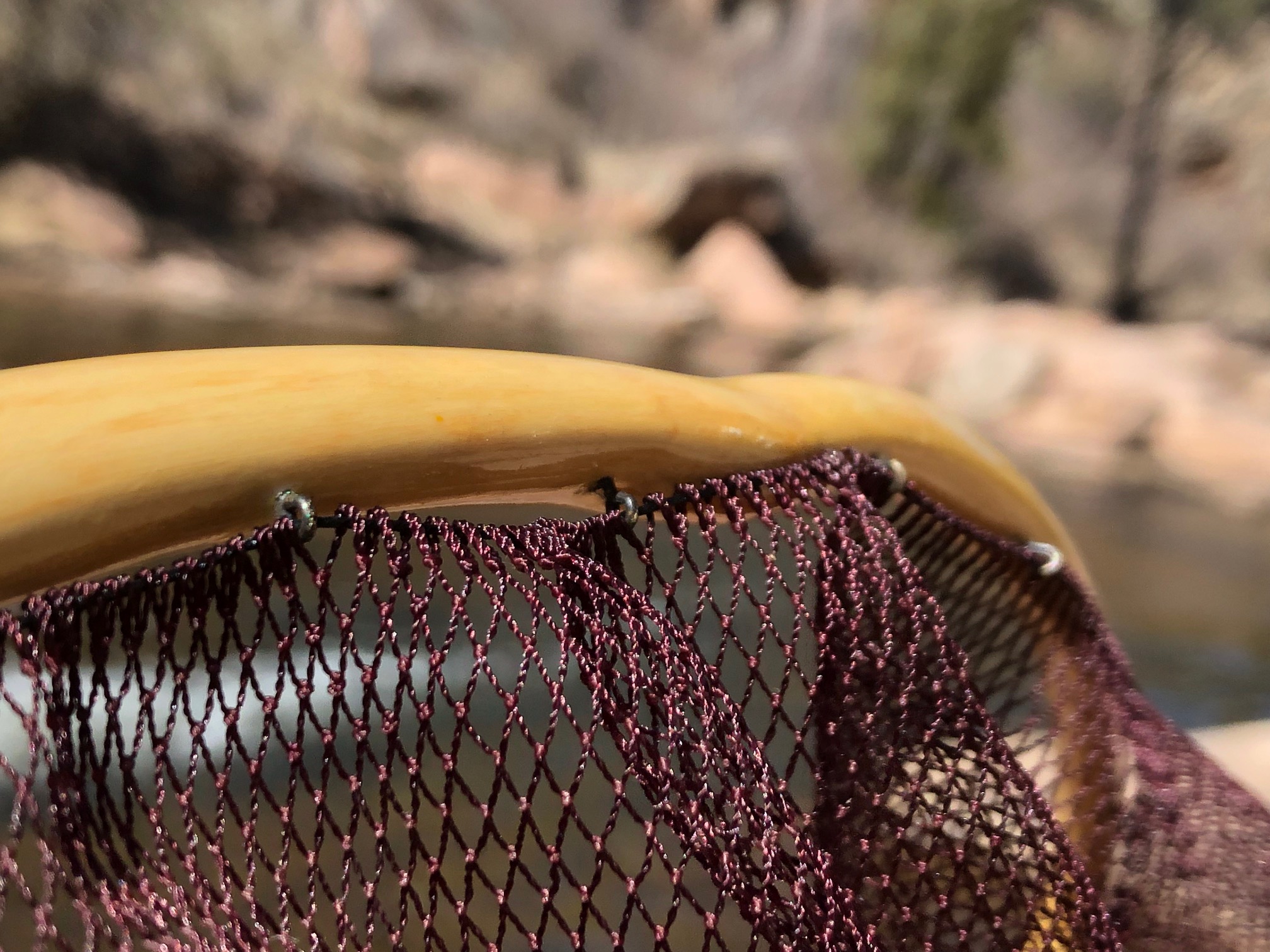 Jason Klass Fishing Tenkara on the St. Vrain