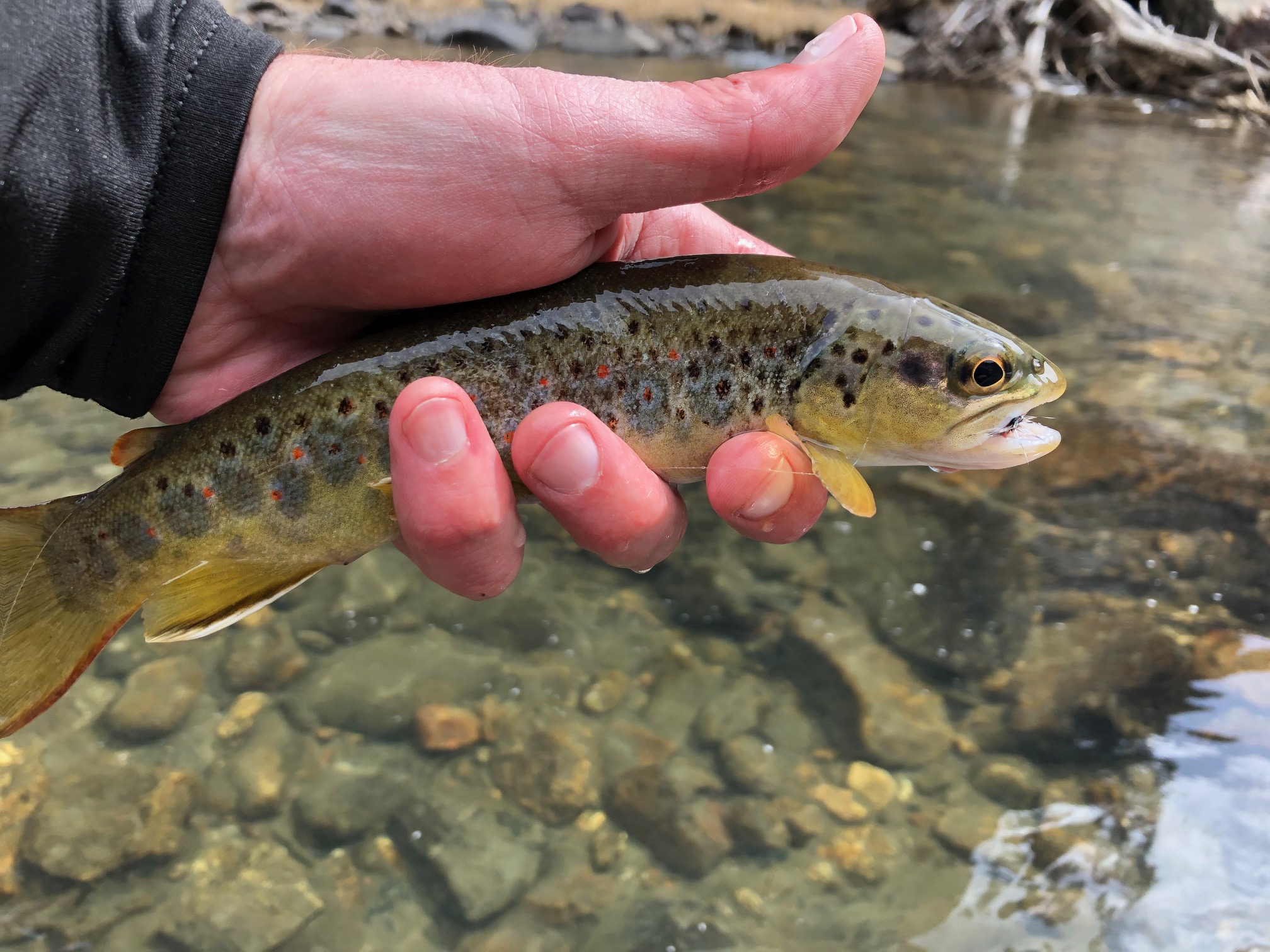 Ultralight Minimalist Tenkara Gear