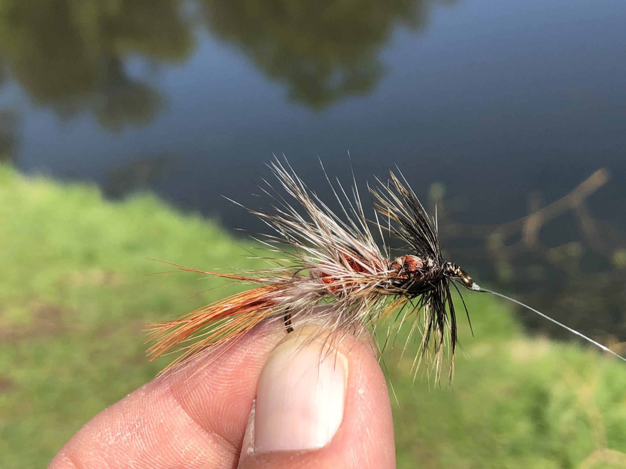 Tenkara Fly Fishing New York City