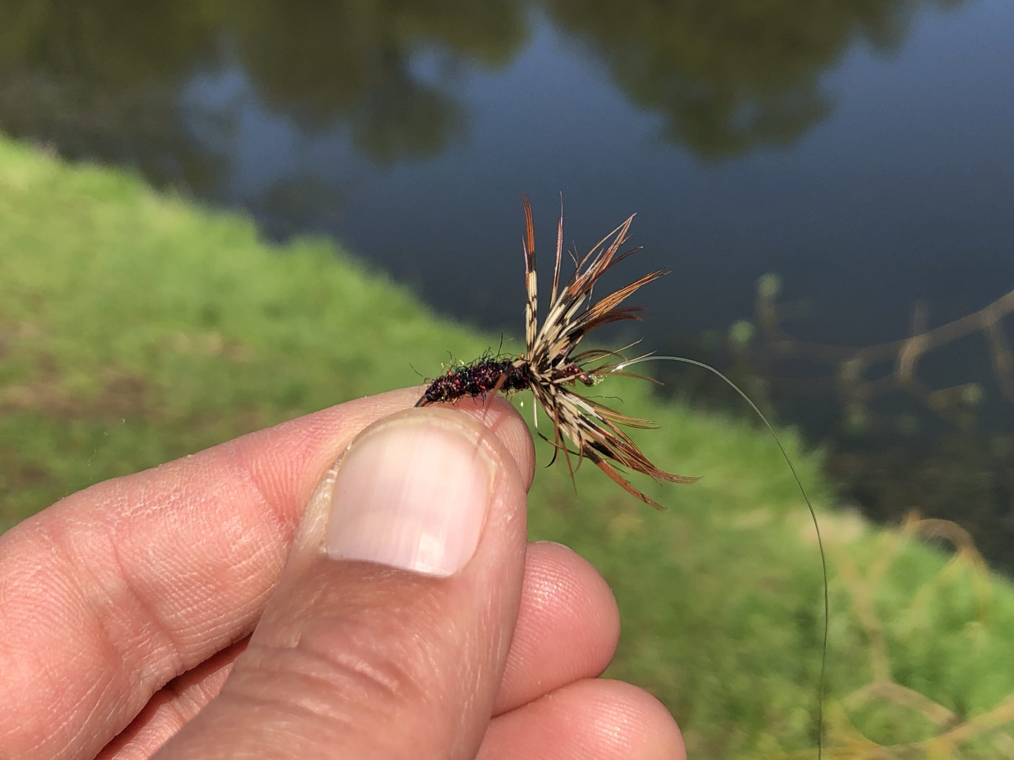 Tenkara Fly Fishing Central Park