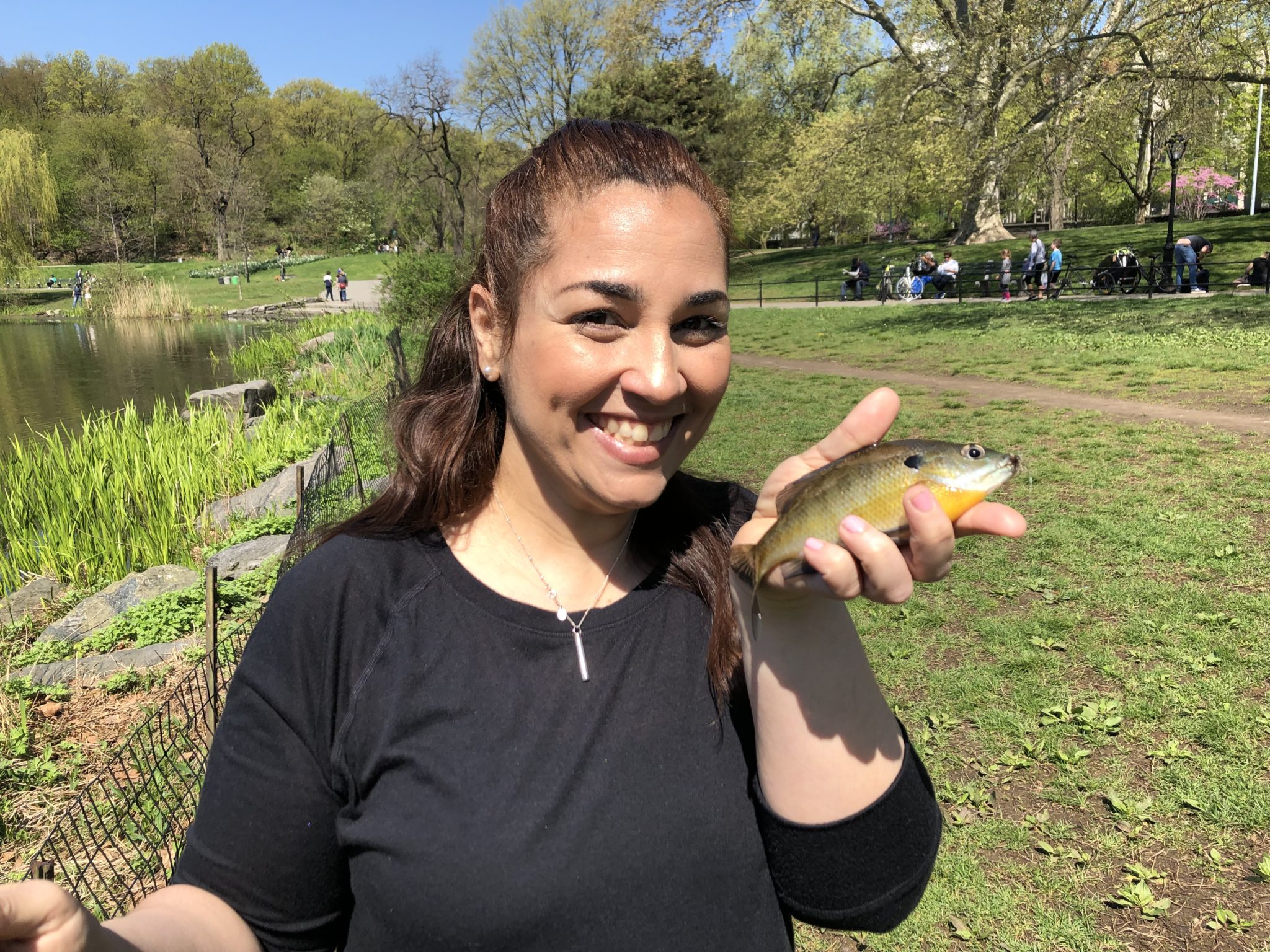 Tenkara Fly Fishing Central Park