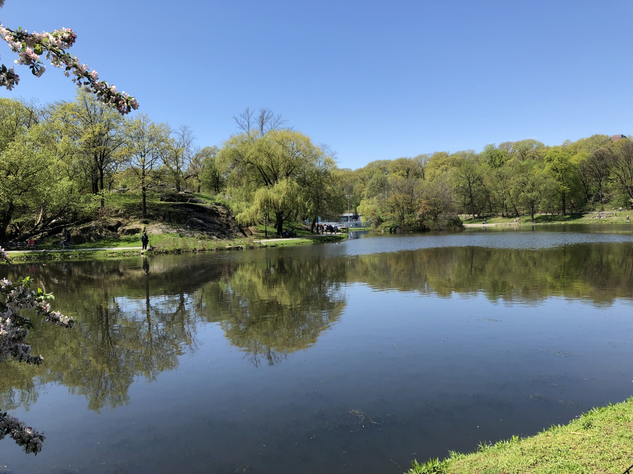 Tenkara Fly Fishing Central Park