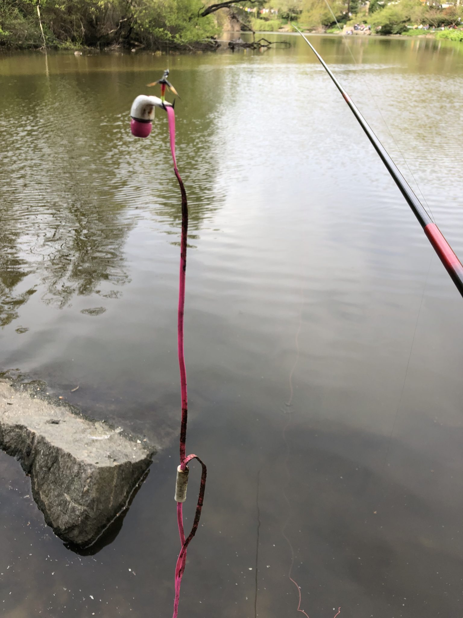 Tenkara Fly Fishing Central Park