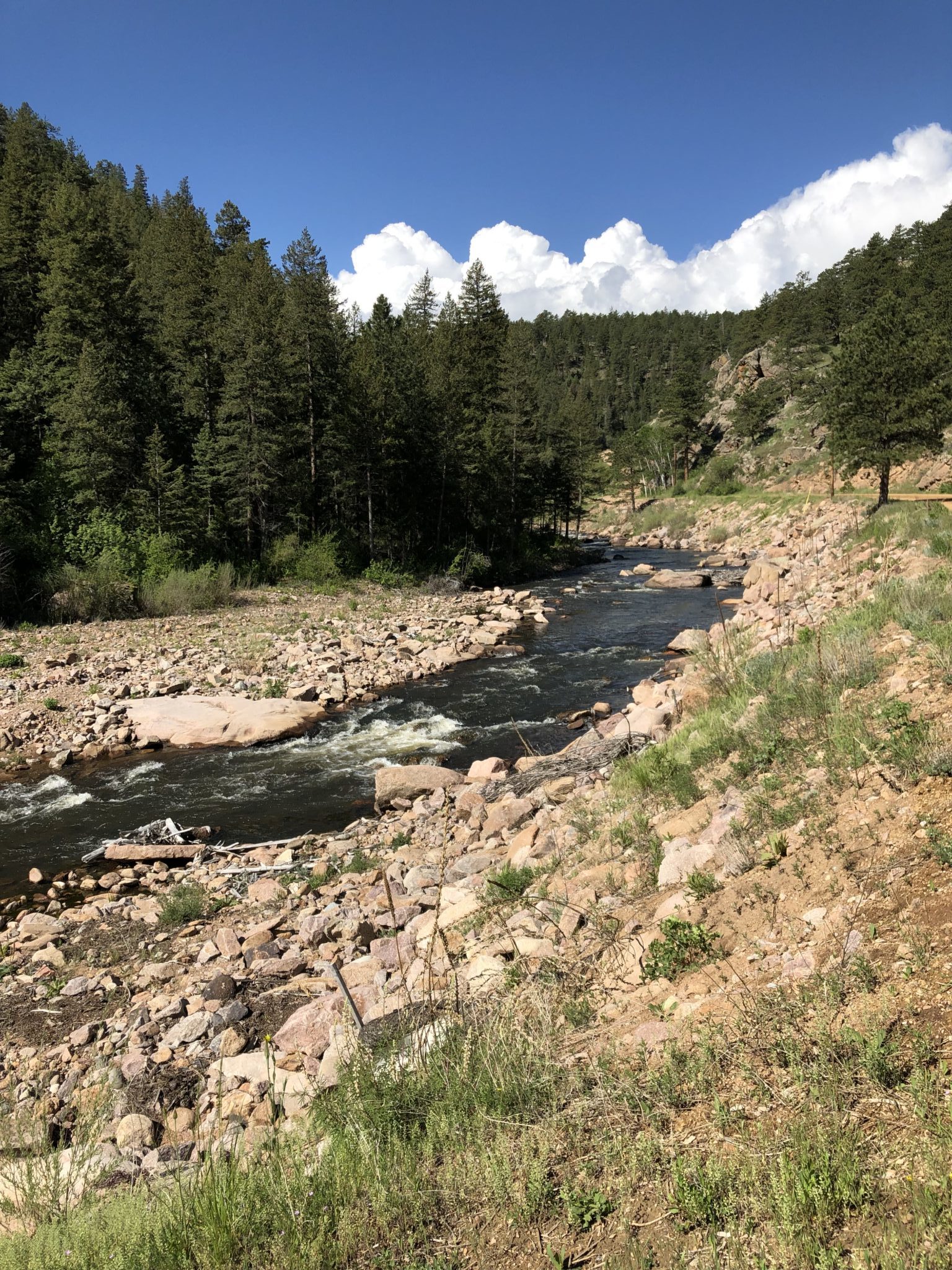 Tenkara on the St. Vrain