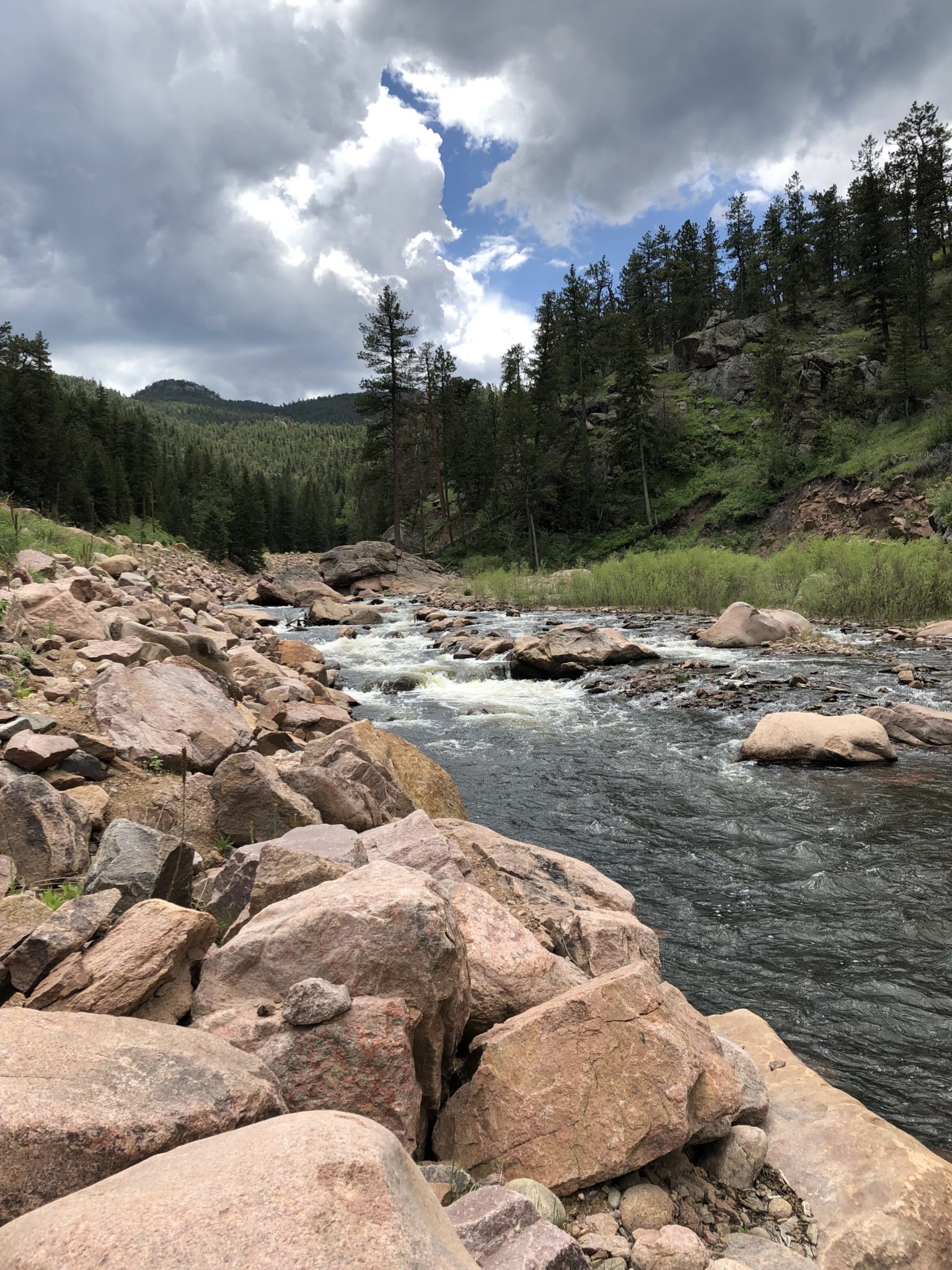 Tenkara on the St. Vrain