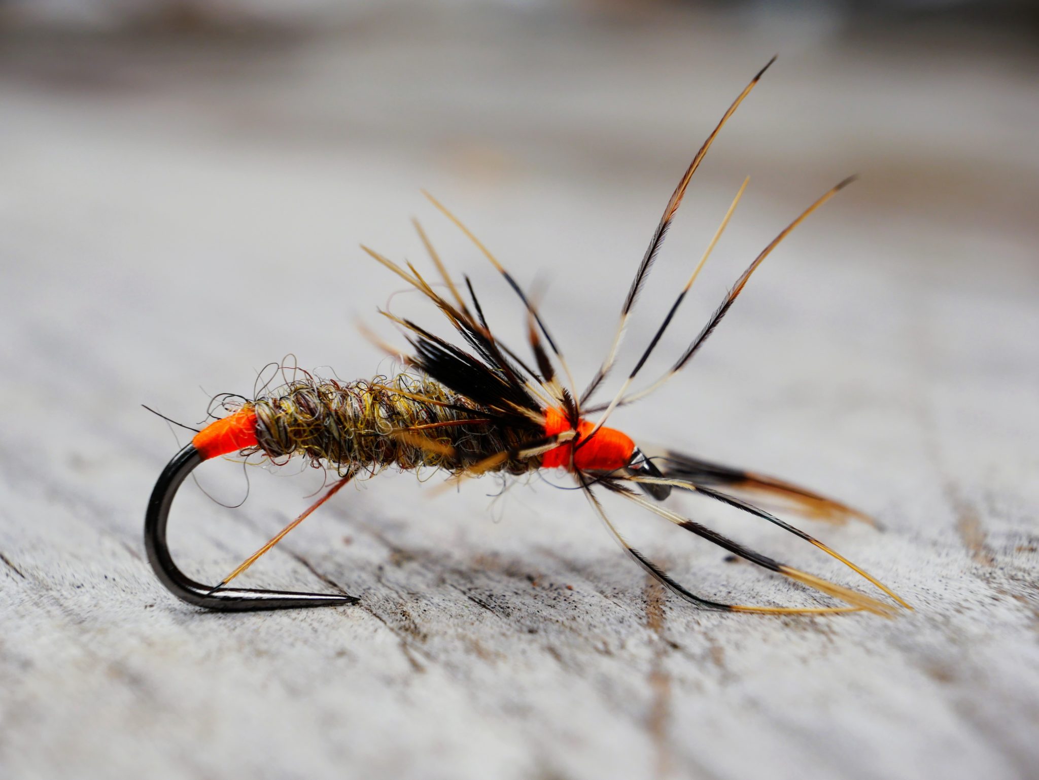 A Guide to Chicken Feathers Used for Fly Tying