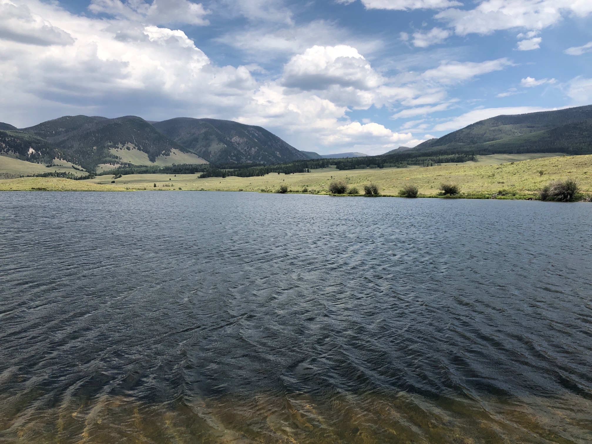 Tenkara on the Rio Grande