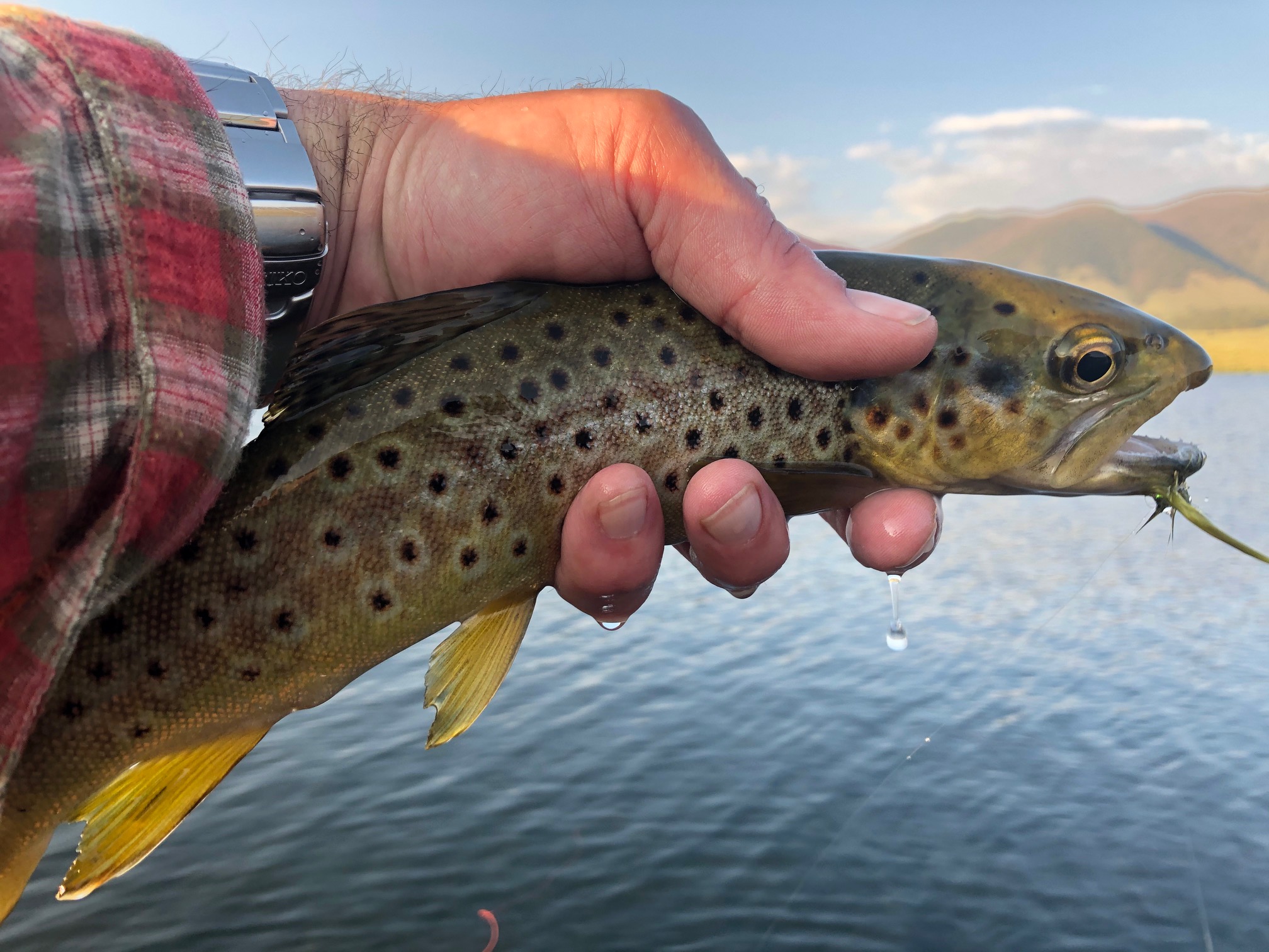 Tenkara on the Rio Grande