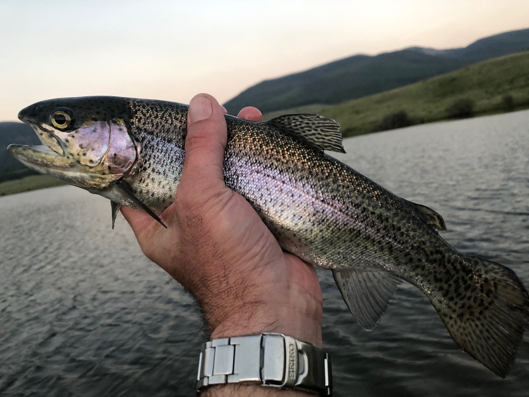 Tenkara on the Rio Grande