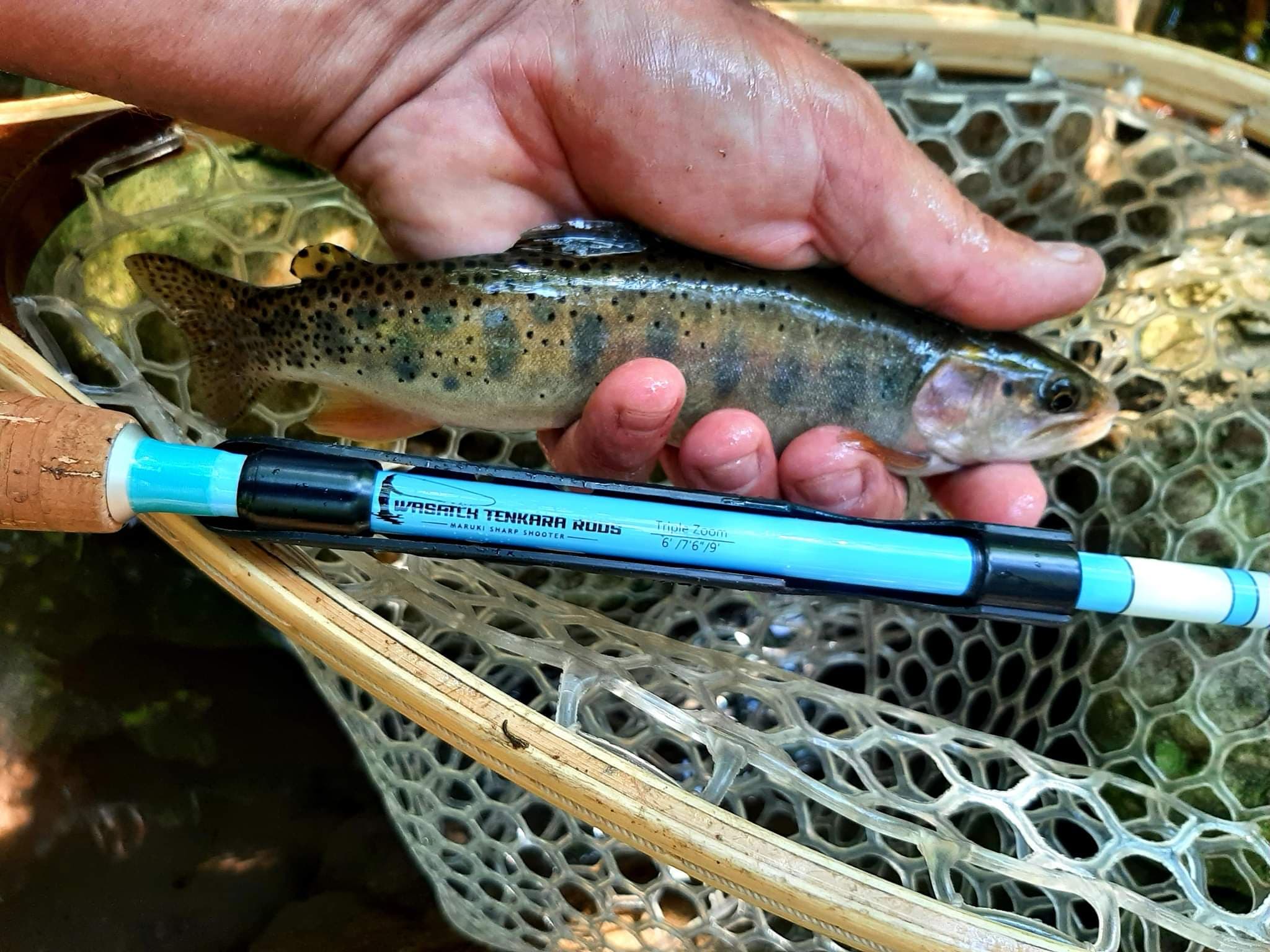 Wasatch Tenkara Rods