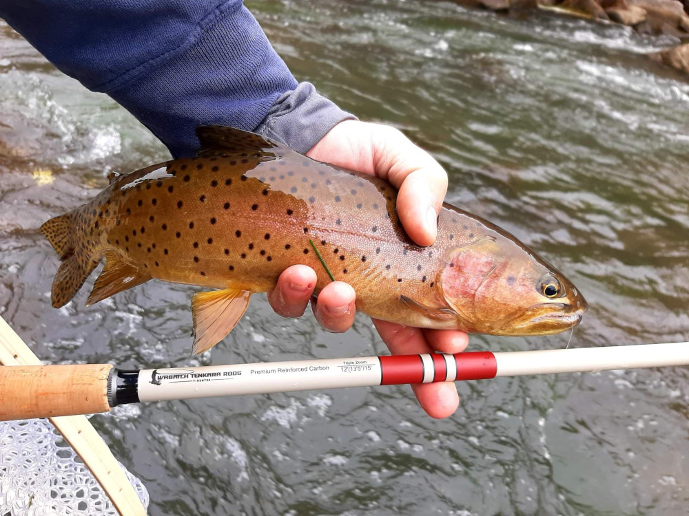 Interview with Ruben Garza of Wasatch Tenkara