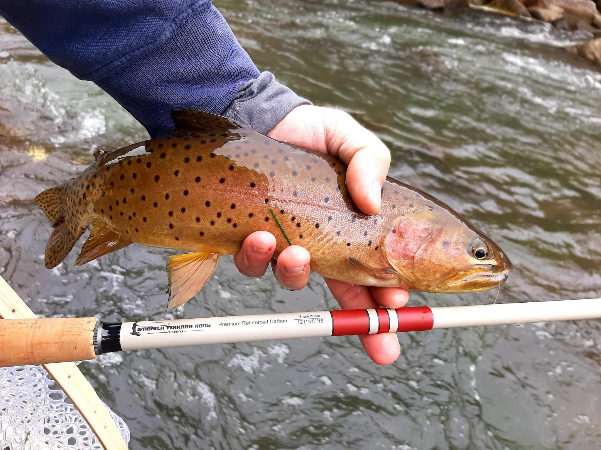 Interview with Ruben Garza of Wasatch Tenkara