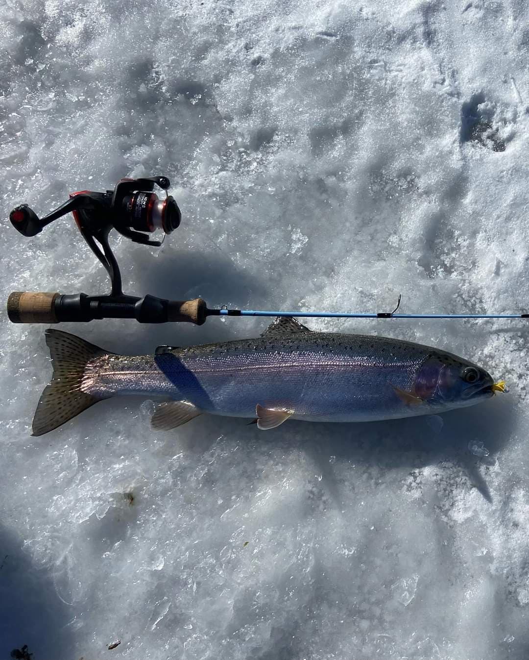 Wasatch Ice Fishing Rods