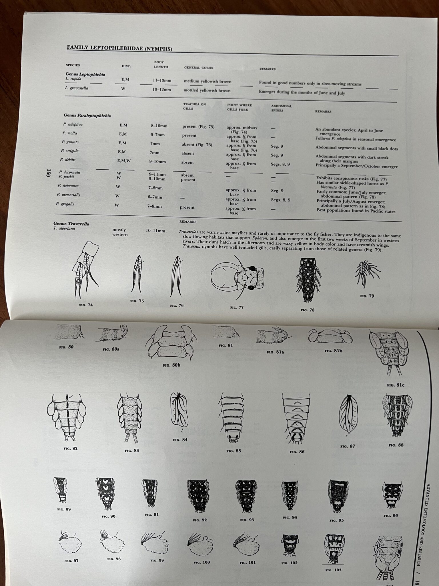 Aquatic Entomology Books