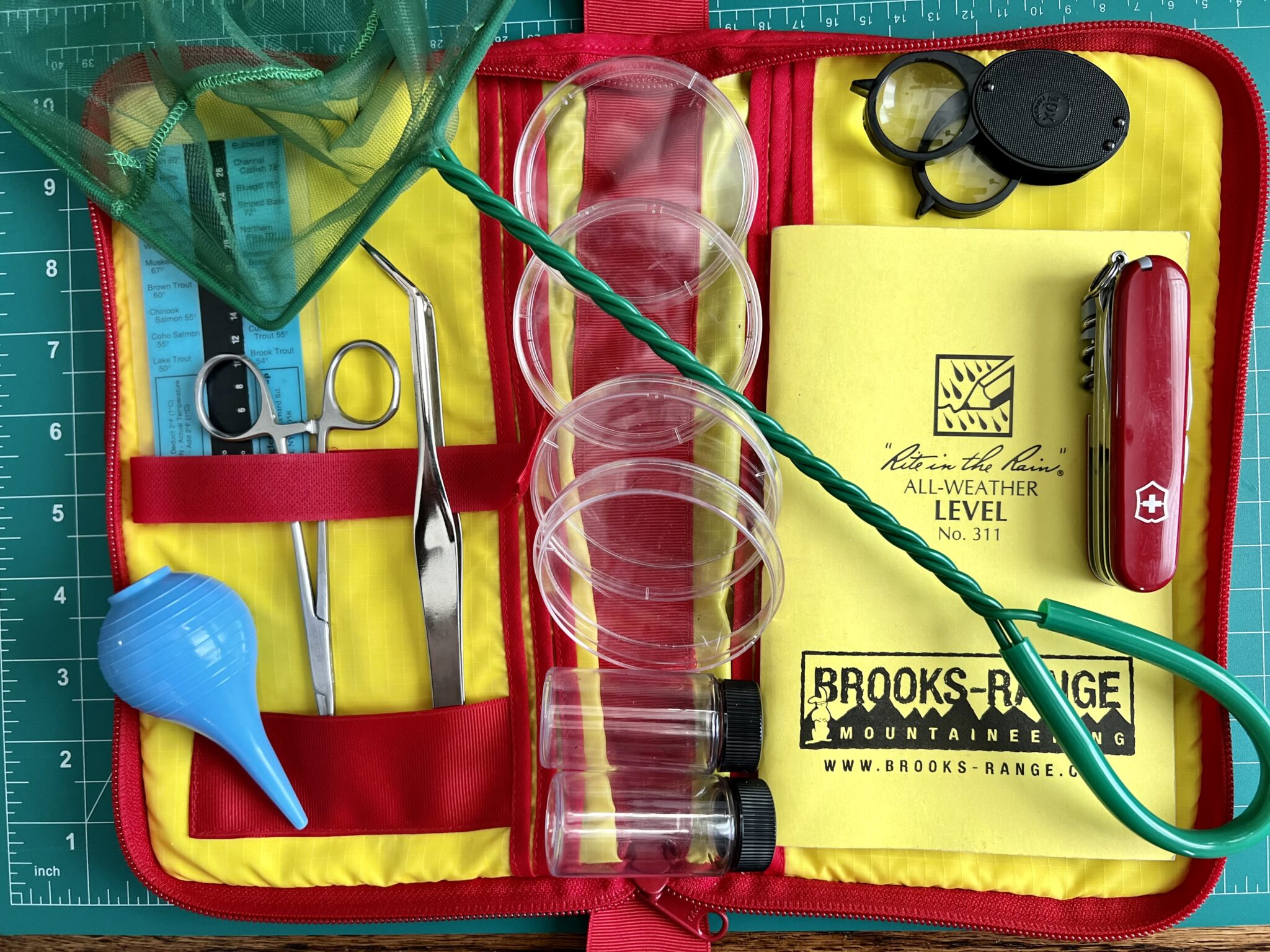 How to Make a Simple Entomology Kit for Fly Fishing