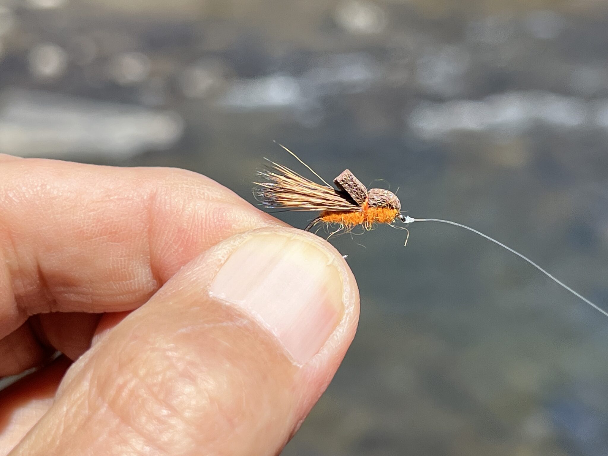 Balloon Caddis