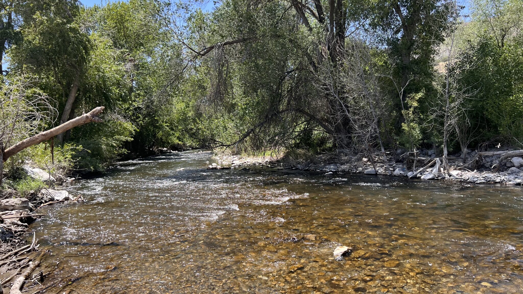 Oni Tenkara School