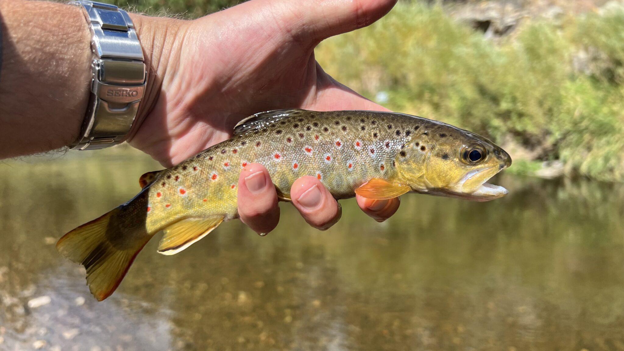 Oni Coco Style Tenkara Rod