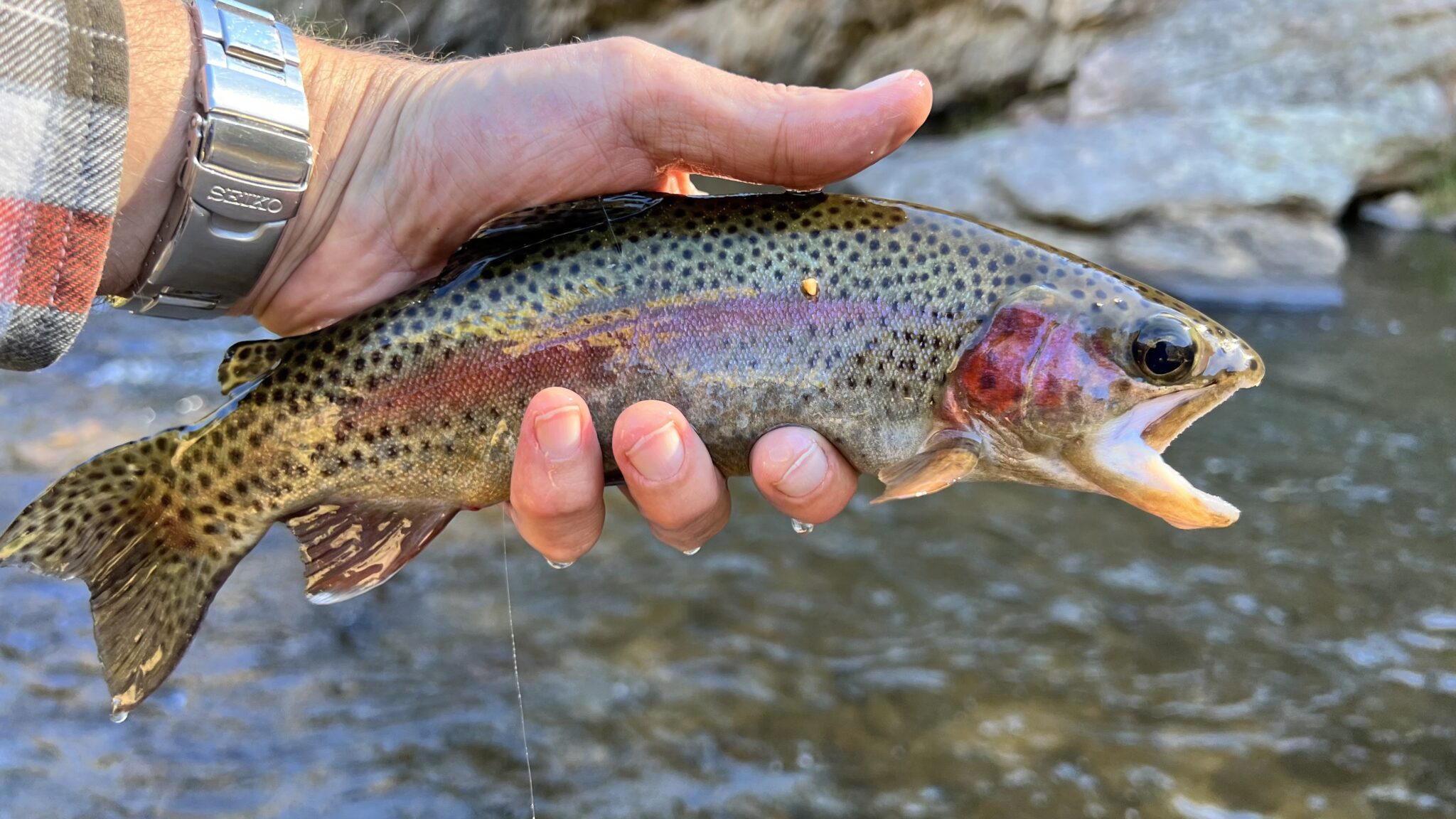 Oni Itoshiro Tenkara Rod