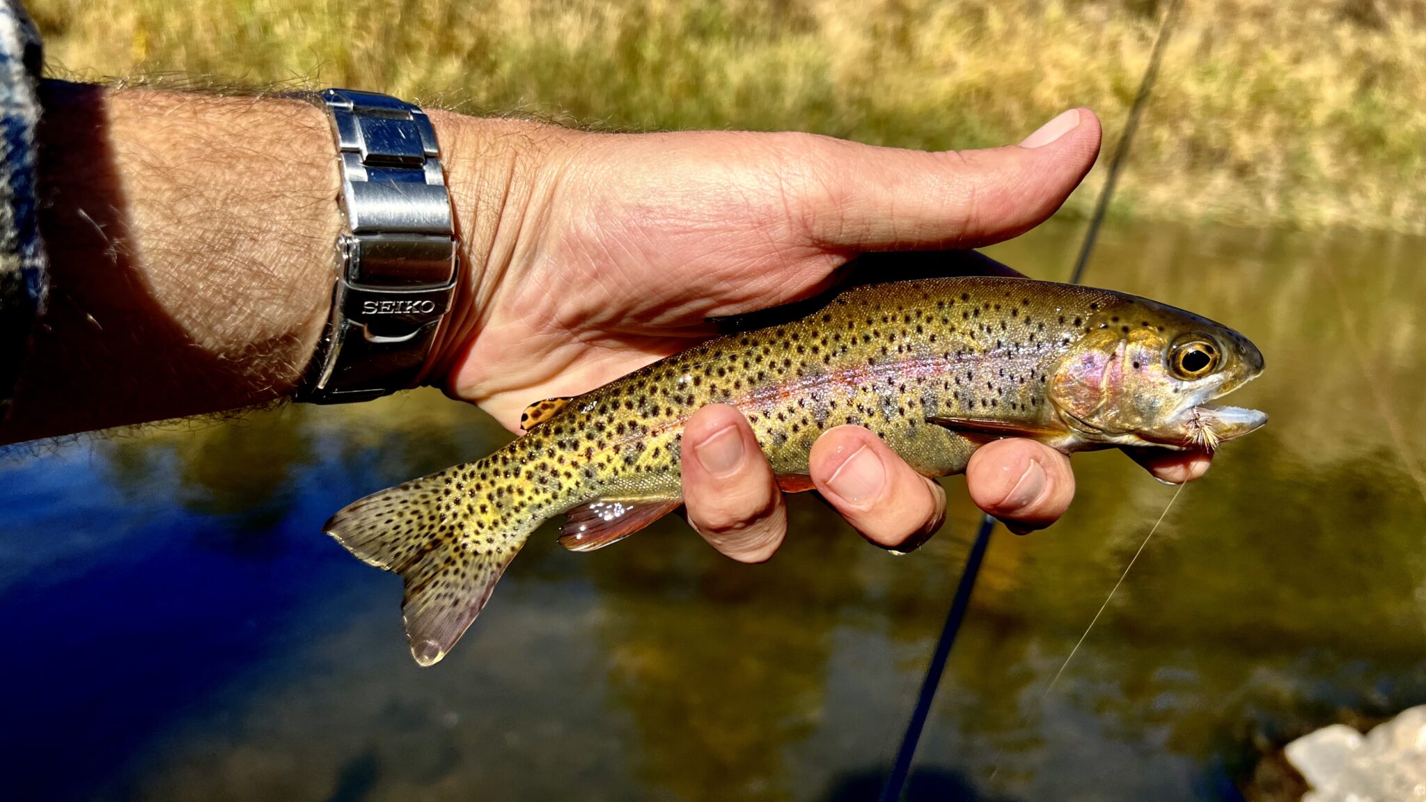 Oni Itoshiro Tenkara Rod